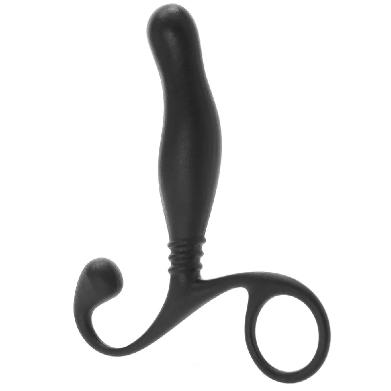 Prostate Massager In A Bag